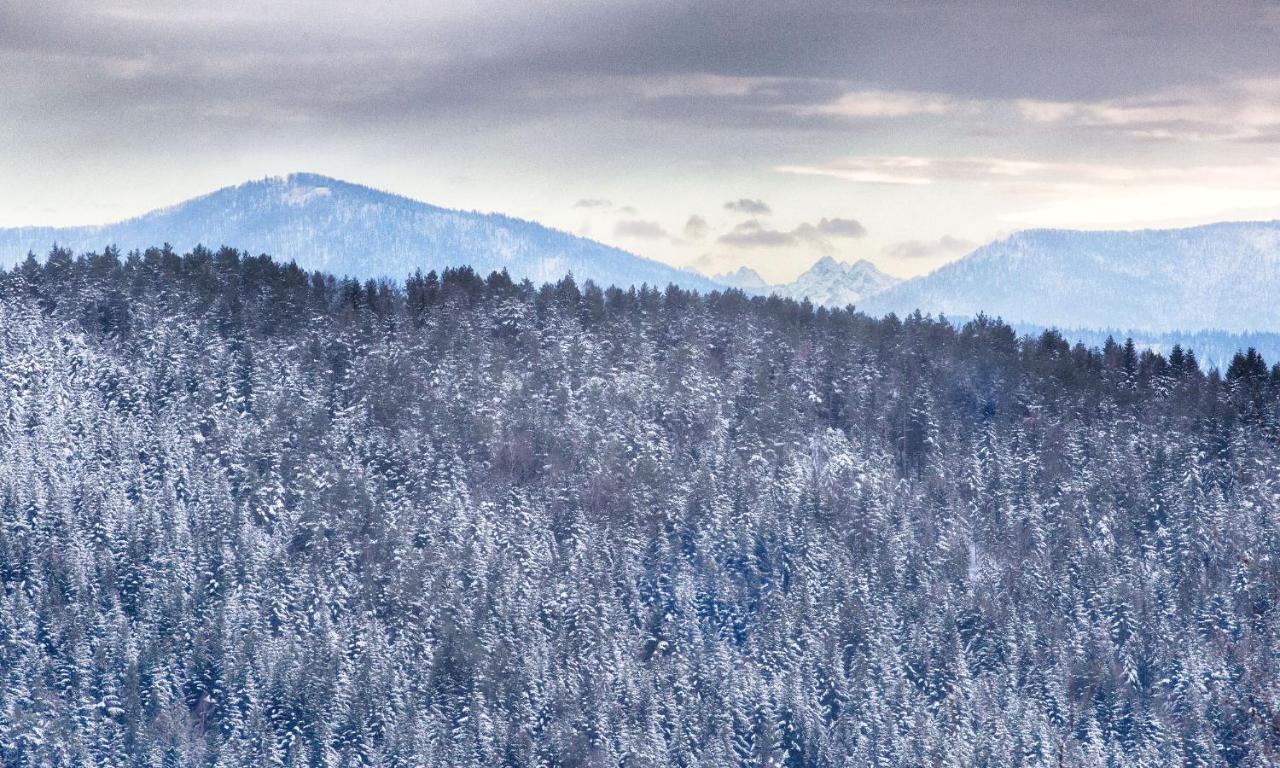 Sloneczny Chelm - Apartamenty W Gorach, Prywatna Sauna Jacuzzi Balia W Cenie, Spa, Grill, Stok Narciarski Myslenice, Sciezki Rowerowe, Rzeka Raba, Widok Na Tatry エクステリア 写真